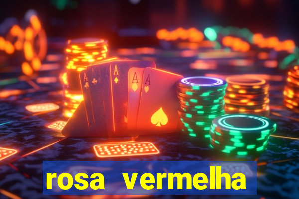 rosa vermelha (letra e cifra)